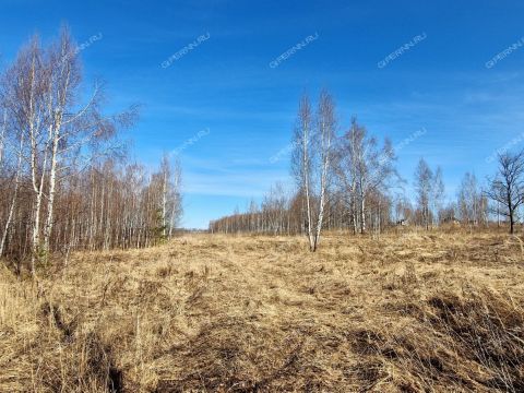 derevnya-novolikeevo-kstovskiy-rayon фото