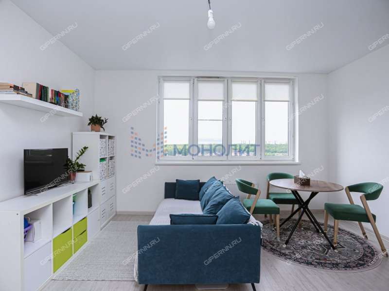 однокомнатная квартира на Черкесской улице дом 2 деревня Анкудиновка