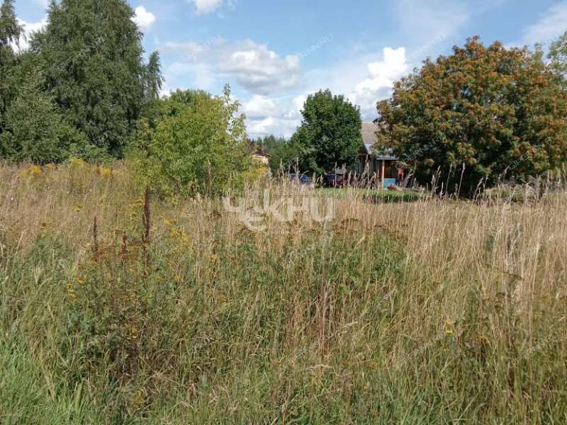 земельный участок 20 соток деревня Гришманово