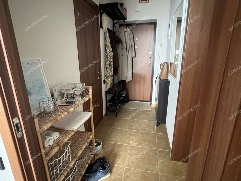 однокомнатная квартира на Черкесской улице дом 3 деревня Анкудиновка