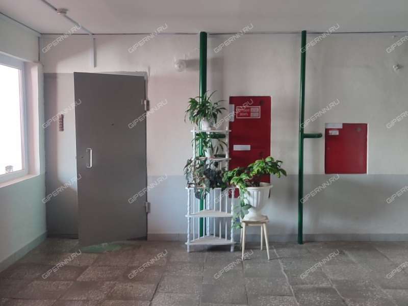 однокомнатная квартира на Московском шоссе дом 17а