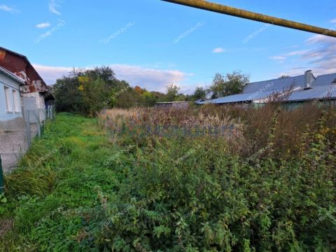 selo-dudenevo-bogorodskiy-municipalnyy-okrug фото