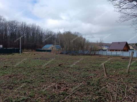 snt-stroitel-bogorodskiy-municipalnyy-okrug фото