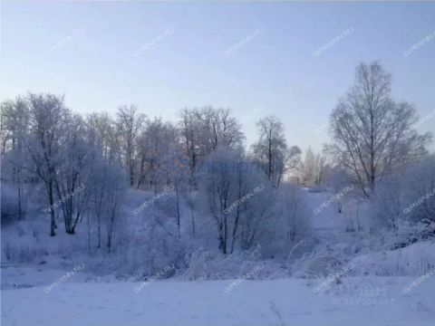 derevnya-afonino-kstovskiy-rayon фото