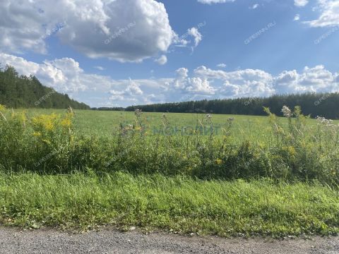 selo-kamenki-bogorodskiy-municipalnyy-okrug фото