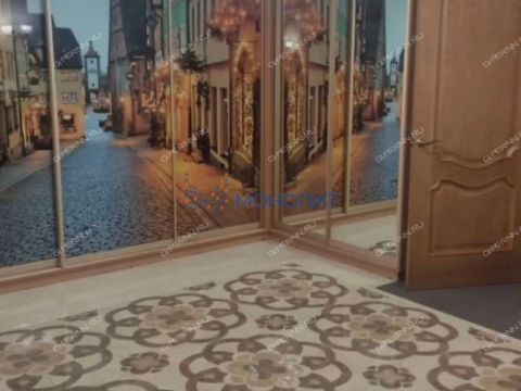 2-komnatnaya-ul-novaya-d-8 фото