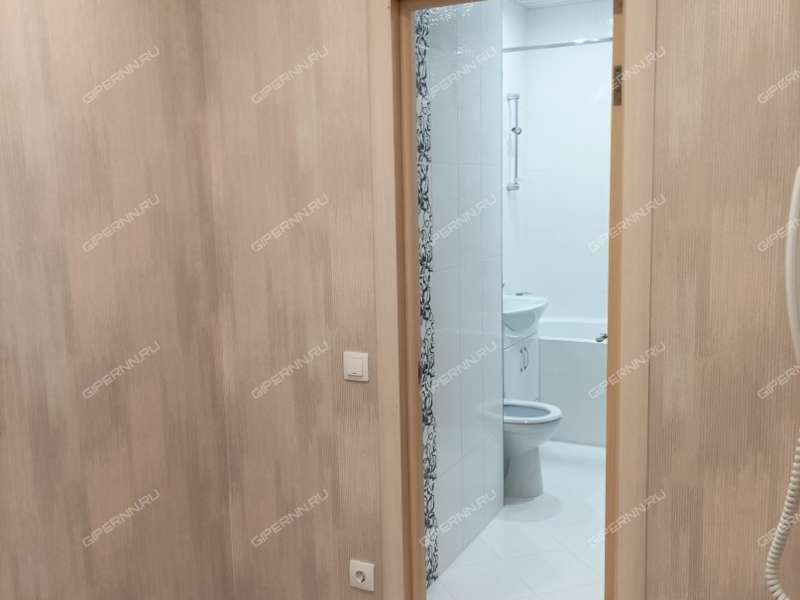 однокомнатная квартира на проспекте Гагарина дом 99 к1