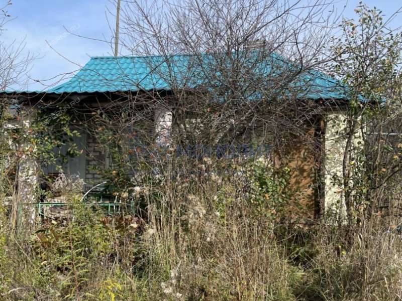 земельный участок 10 соток Центральная улица деревня Криуша