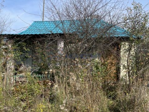 derevnya-kriusha-dalnekonstantinovskiy-rayon фото