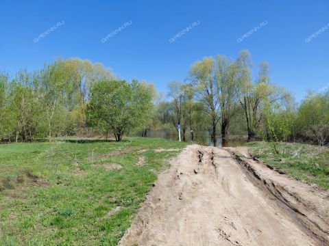 selo-kadnicy-kstovskiy-rayon фото