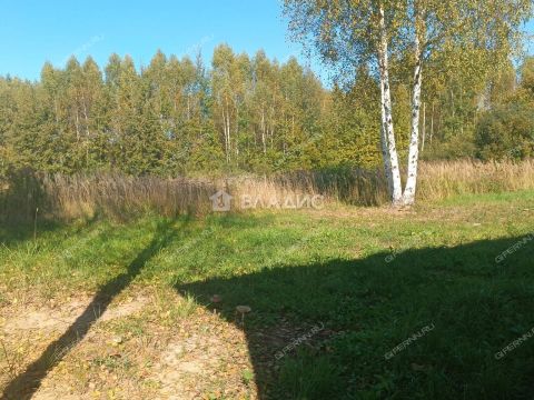 dom-bor-gorodskoy-okrug-bor фото