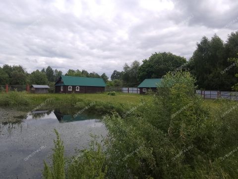 selo-dudenevo-bogorodskiy-municipalnyy-okrug фото