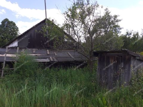 dom-derevnya-filino-gorodskoy-okrug-chkalovsk фото