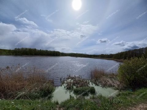 derevnya-inyutino-bogorodskiy-municipalnyy-okrug фото