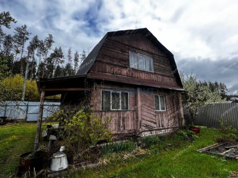 dacha-poselok-golyshevo-volodarskiy-rayon фото