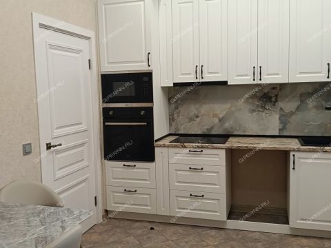 dom-ul-strokina-d-103 фото