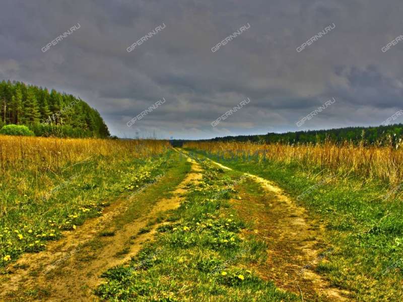 земельный участок под сельхоз назначение в Дальнеконстантиновском районе Нижегородской области