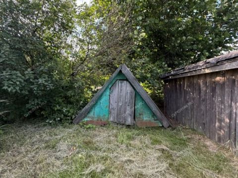 dom-derevnya-vashurovo-gorodeckiy-rayon фото