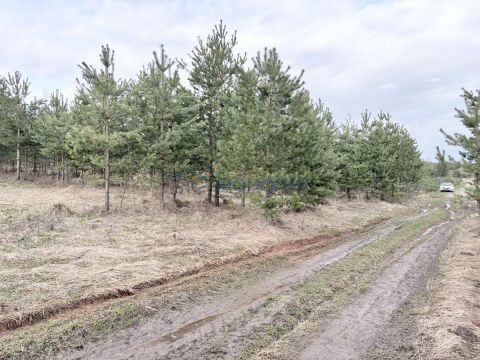 derevnya-nepecino-bogorodskiy-municipalnyy-okrug фото