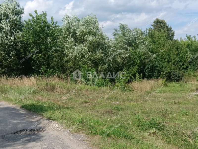 земельный участок 22 сотки Забайкальская улица рабочий посёлок Шатки