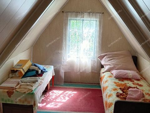 dacha-tsn-n-5-gaz фото