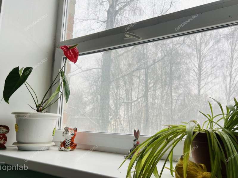 двухкомнатная квартира на улице Чванова дом 6 город Кстово