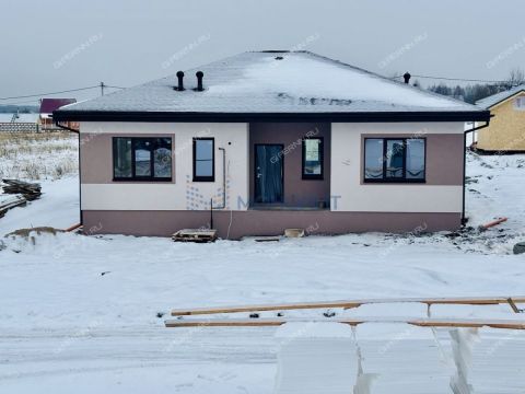 dom-derevnya-berezovka-bogorodskiy-municipalnyy-okrug фото