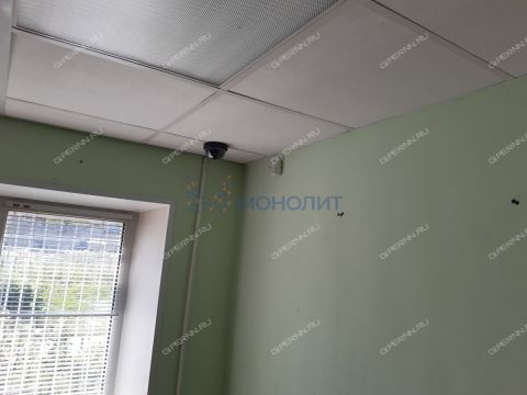 derevnya-berezovka-bogorodskiy-municipalnyy-okrug фото