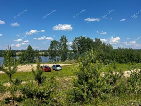 derevnya-gumnishhi-balahninskiy-municipalnyy-okrug фото