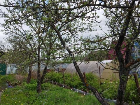 dacha-snt-sokol-sad-n1-snt-sokol-sad-1 фото