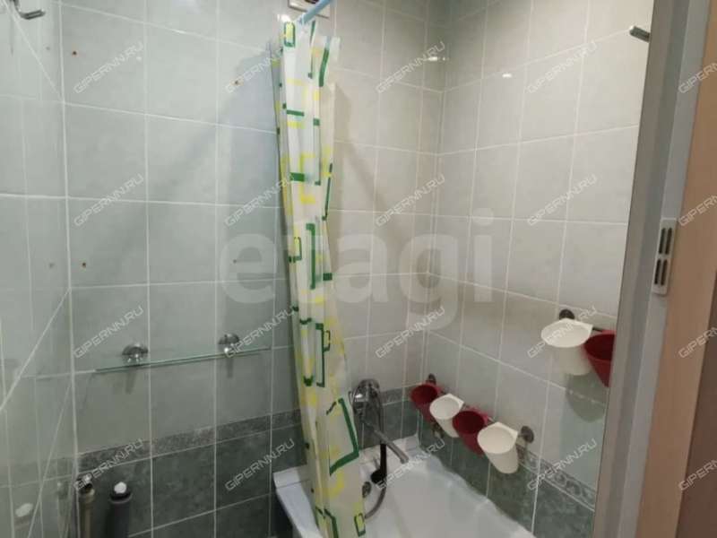 однокомнатная квартира на улице Бориса Панина дом 19к