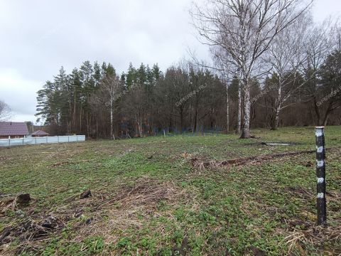snt-stroitel-bogorodskiy-municipalnyy-okrug фото