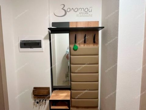 1-komnatnaya-derevnya-ankudinovka-kstovskiy-rayon фото