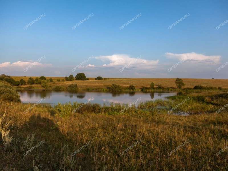 земельный участок 363 сотки Южная улица село Свобода