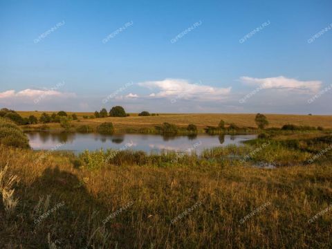 selo-svoboda-vadskiy-municipalnyy-okrug фото