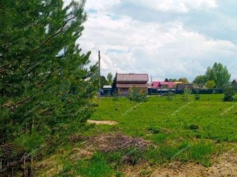 derevnya-kiselevo-gorodskoy-okrug-chkalovsk фото
