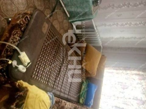 dom-selo-lopatino-vadskiy-municipalnyy-okrug фото