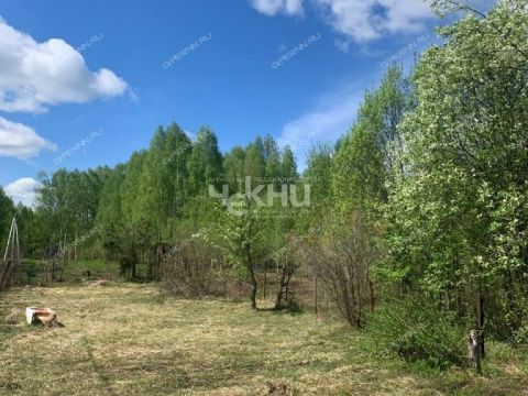 dom-derevnya-maloe-sitnikovo-gorodskoy-okrug-bor фото
