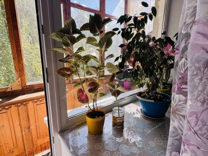 однокомнатная квартира на улице Белинского дом 55