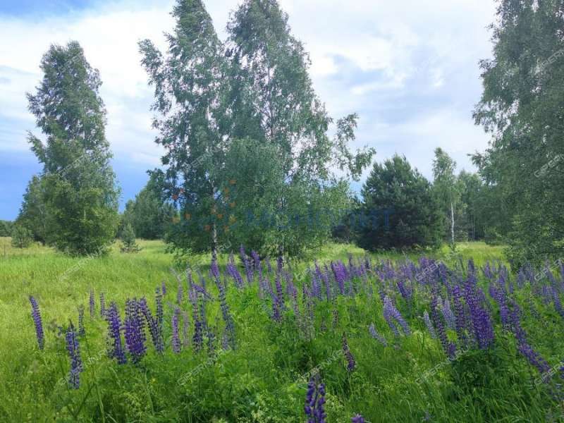 земельный участок под сельхоз назначение в городском округе Сокольский Нижегородской области