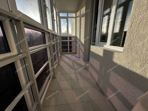 2-komnatnaya-ul-vladimira-luzyanina-d-3 фото