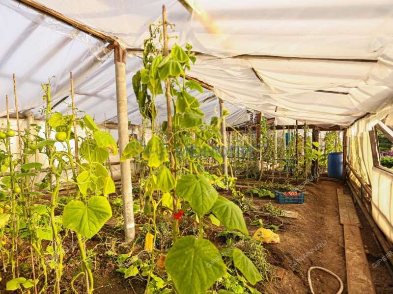 земельный участок 15 соток Лысогорская улица