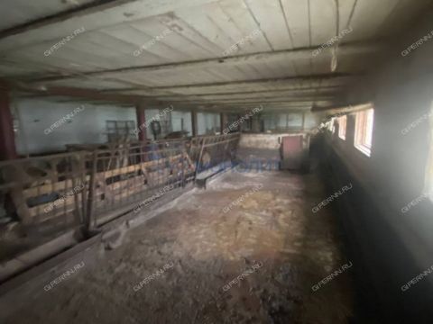 selo-bolshaya-elnya-kstovskiy-rayon фото