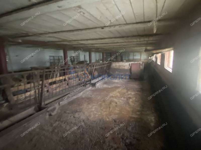 земельный участок под сельхоз назначение в Кстовском районе Нижегородской области