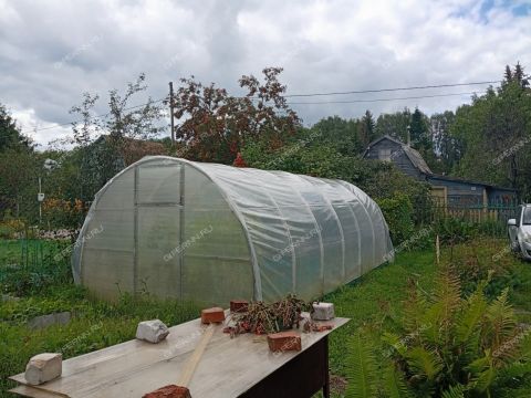 dacha-derevnya-rekshino-gorodskoy-okrug-bor фото
