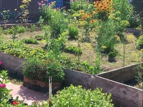 dacha-prosp-molodezhnyy фото