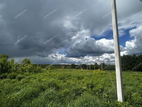 derevnya-kileley-bogorodskiy-municipalnyy-okrug фото