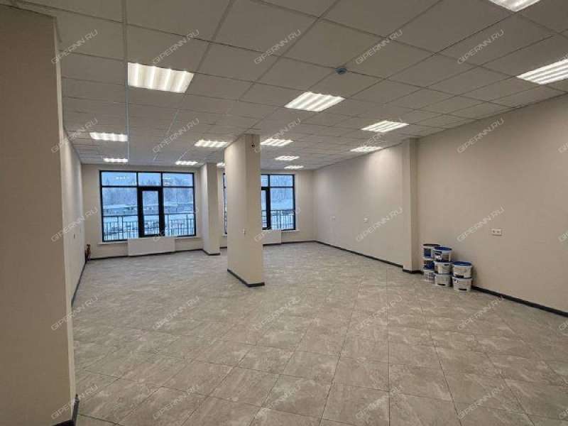 помещение под помещение свободного назначения на улице Родионова