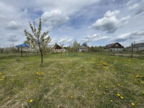 dom-derevnya-sitnikovo-gorodskoy-okrug-bor фото