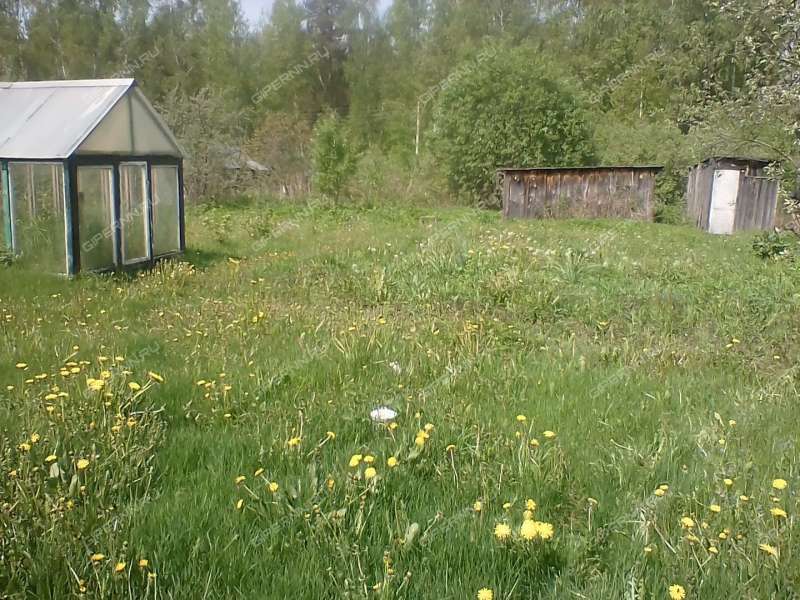 Купить Дачу В Ягодном Нижегородской